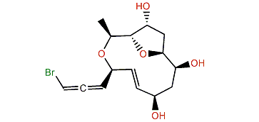 Obtusallene III